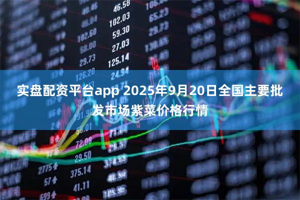 实盘配资平台app 2025年9月20日全国主要批发市场紫菜价格行情