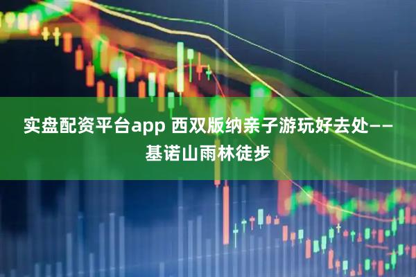 实盘配资平台app 西双版纳亲子游玩好去处——基诺山雨林徒步