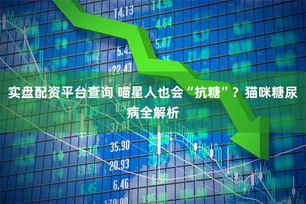 实盘配资平台查询 喵星人也会“抗糖”？猫咪糖尿病全解析